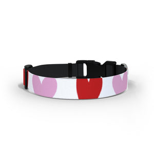 Love Heart Pet Collar