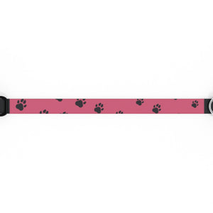 Paws Pet Collar
