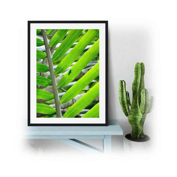 Upload Your Own Photo/Image/Personalise Framed Print